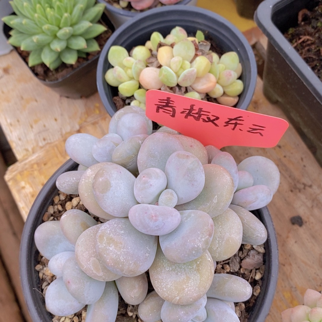 清货专场，仅限今天