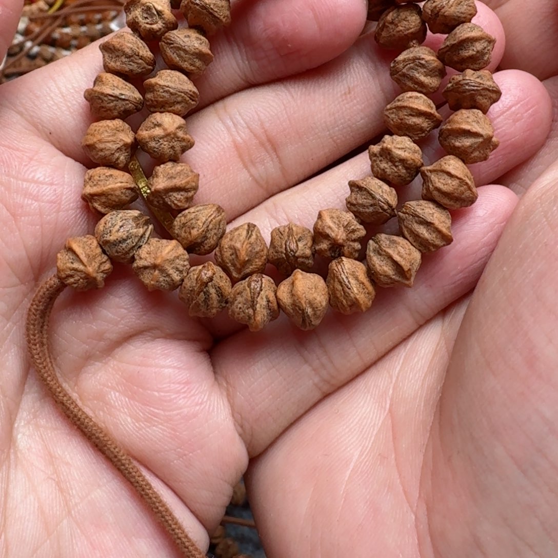 手串柏香籽/百香籽22