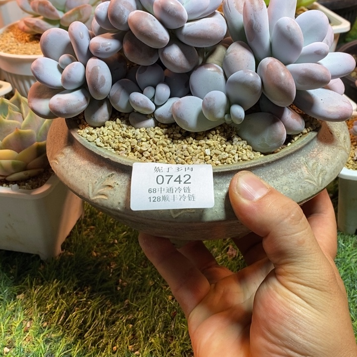 0742啊啊啊啊啊啊啊啊啊啊