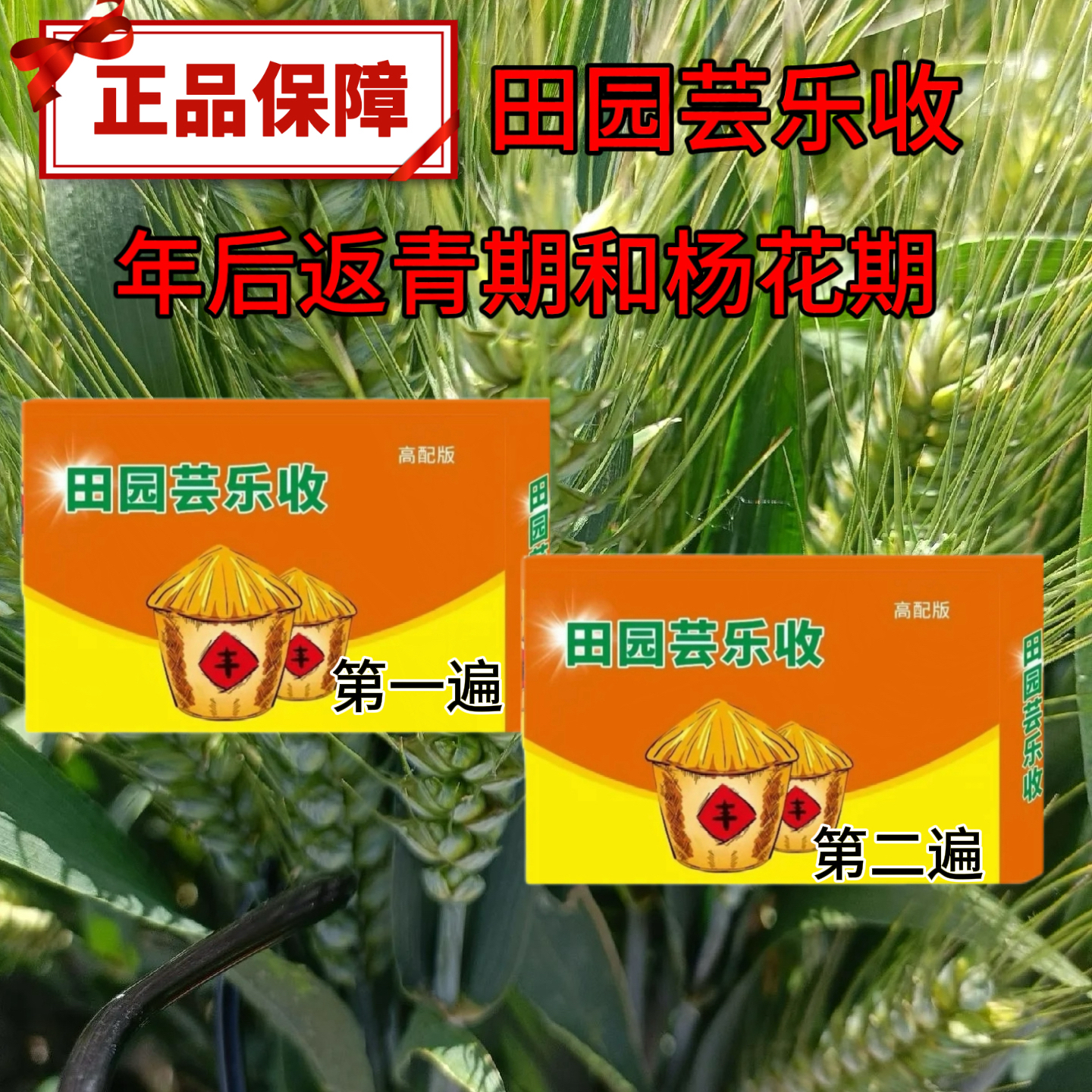 田园芸乐收正品两遍十亩地高产方案（返青期）和扬花期）