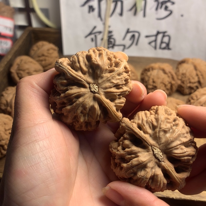 吊坠文玩核桃美***波粗筋