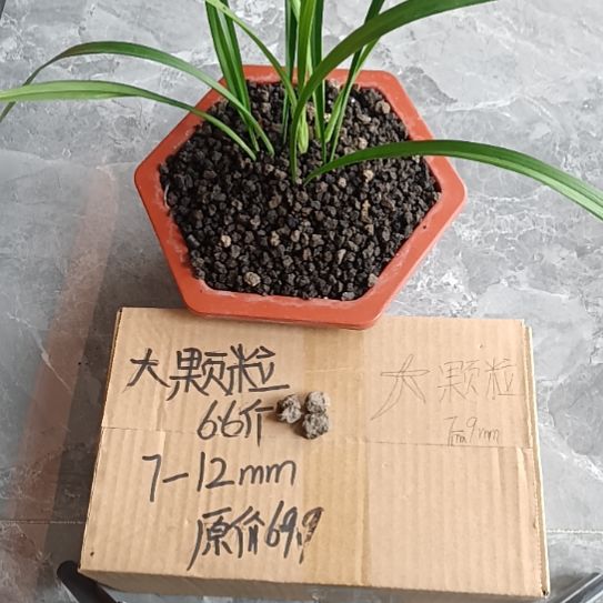雁***翔兰菌黑山土大颗粒6.6斤