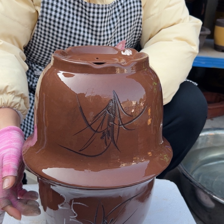 25+25平角金钟花盆花盆花盆