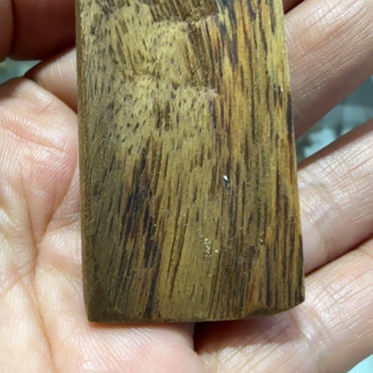 【闪购商品】沉香手串芽庄沉香无事牌