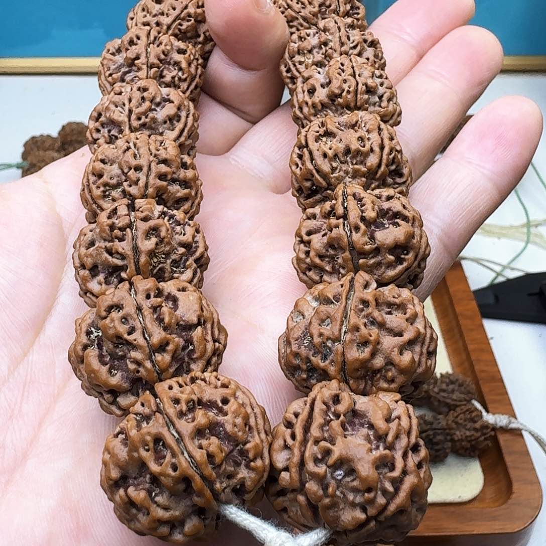 金刚菩提手串平头平尾粗筋大梅花