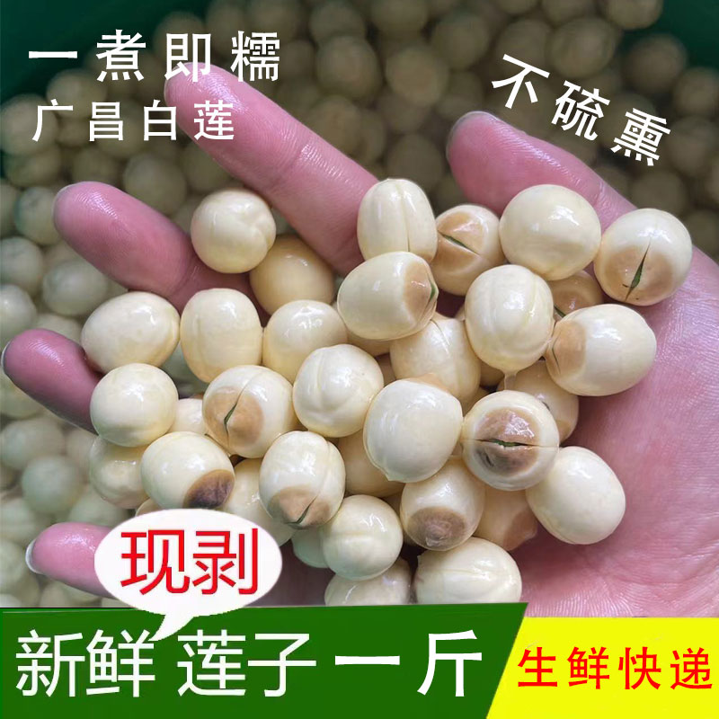 2025年新鲜湿莲子500g当天现摘现发纯手工去皮农家种植手工鲜莲子
