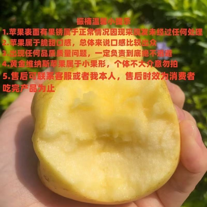 【振楠】精选黄金维纳斯苹果脆甜多汁 （果形不大介意慎拍）京东快递