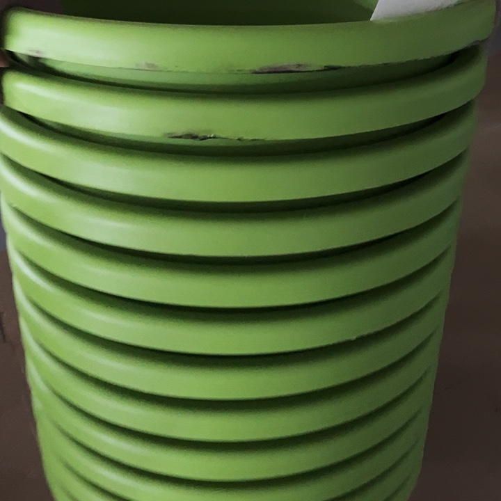 微瑕9号四季口46高40果绿带托4个