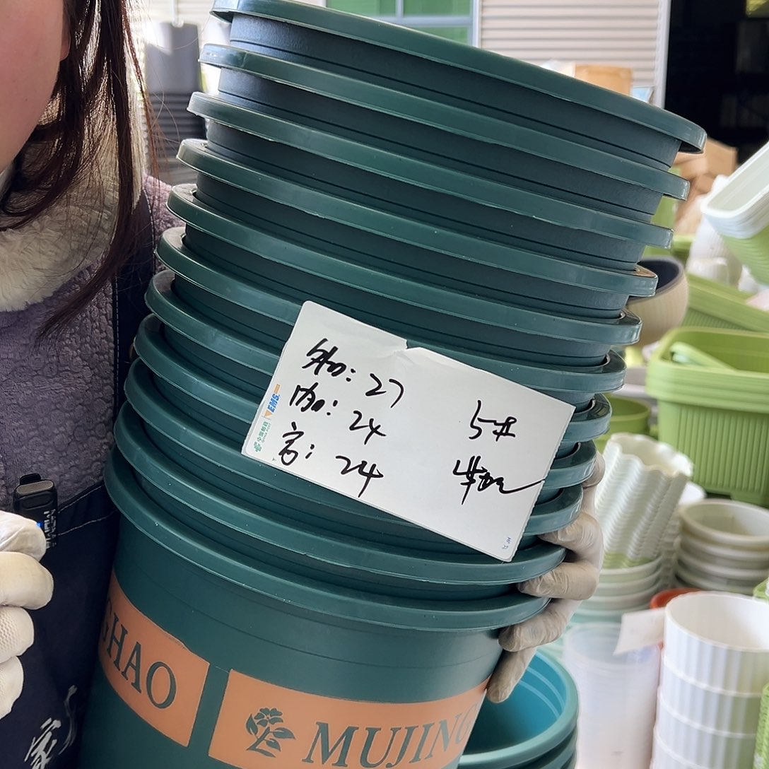 加仑盆5#墨绿10个无托