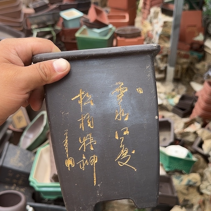 这几句真的好好啊哈哈