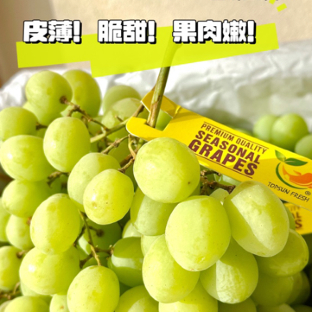 澳洲甜地球青提 1斤装