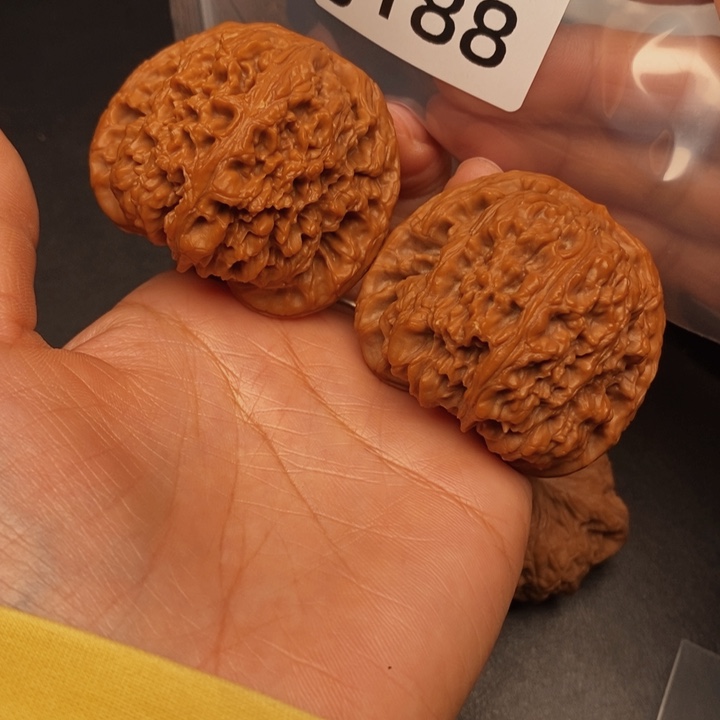 雅***轩桃核吊坠J188南疆