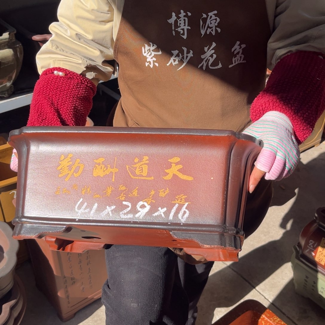 花盆紫砂盆景艺术