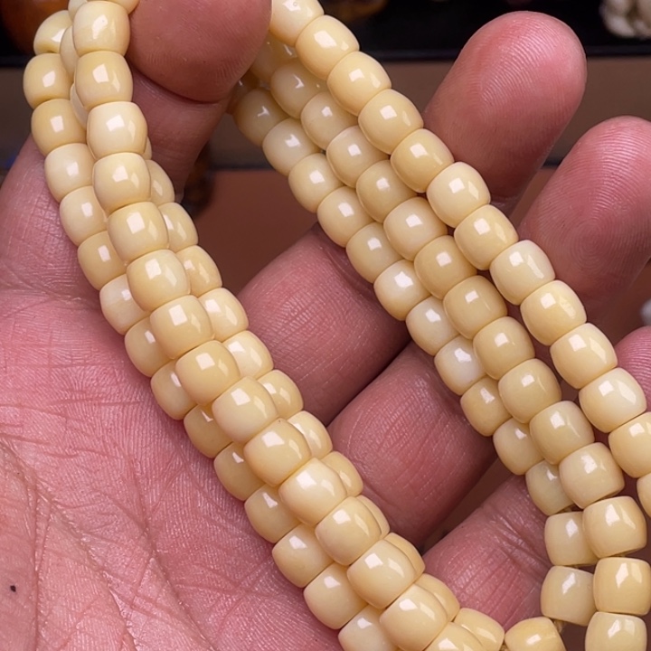 驼骨其他人工养殖