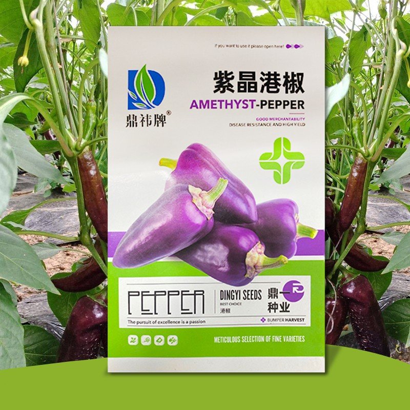 万亩齐丰鼎一牌紫晶港椒