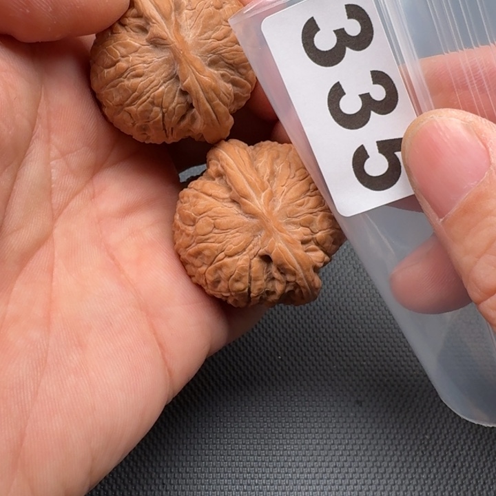 文玩核桃把件玖**车乾隆磨