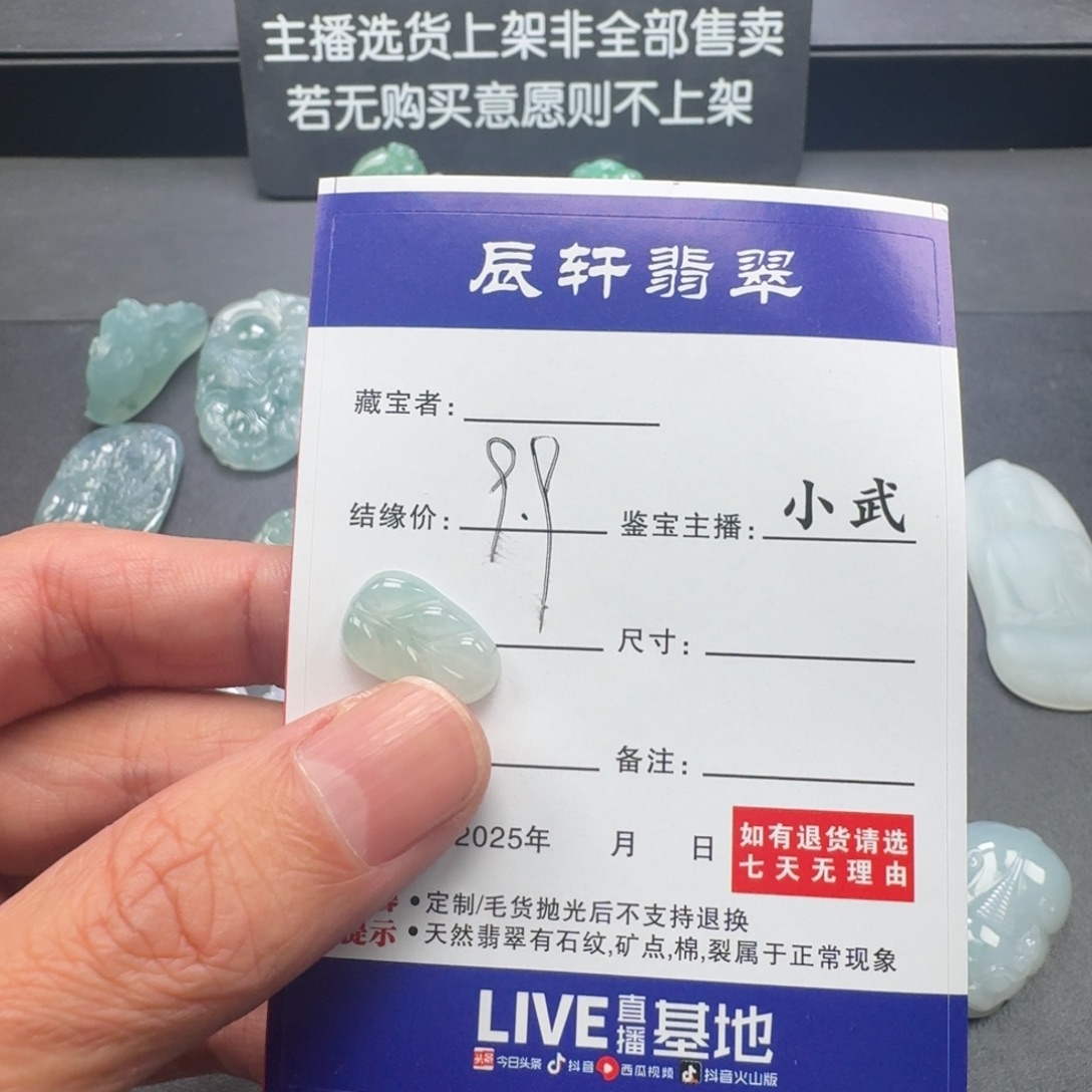 翡翠未镶嵌颈饰    3