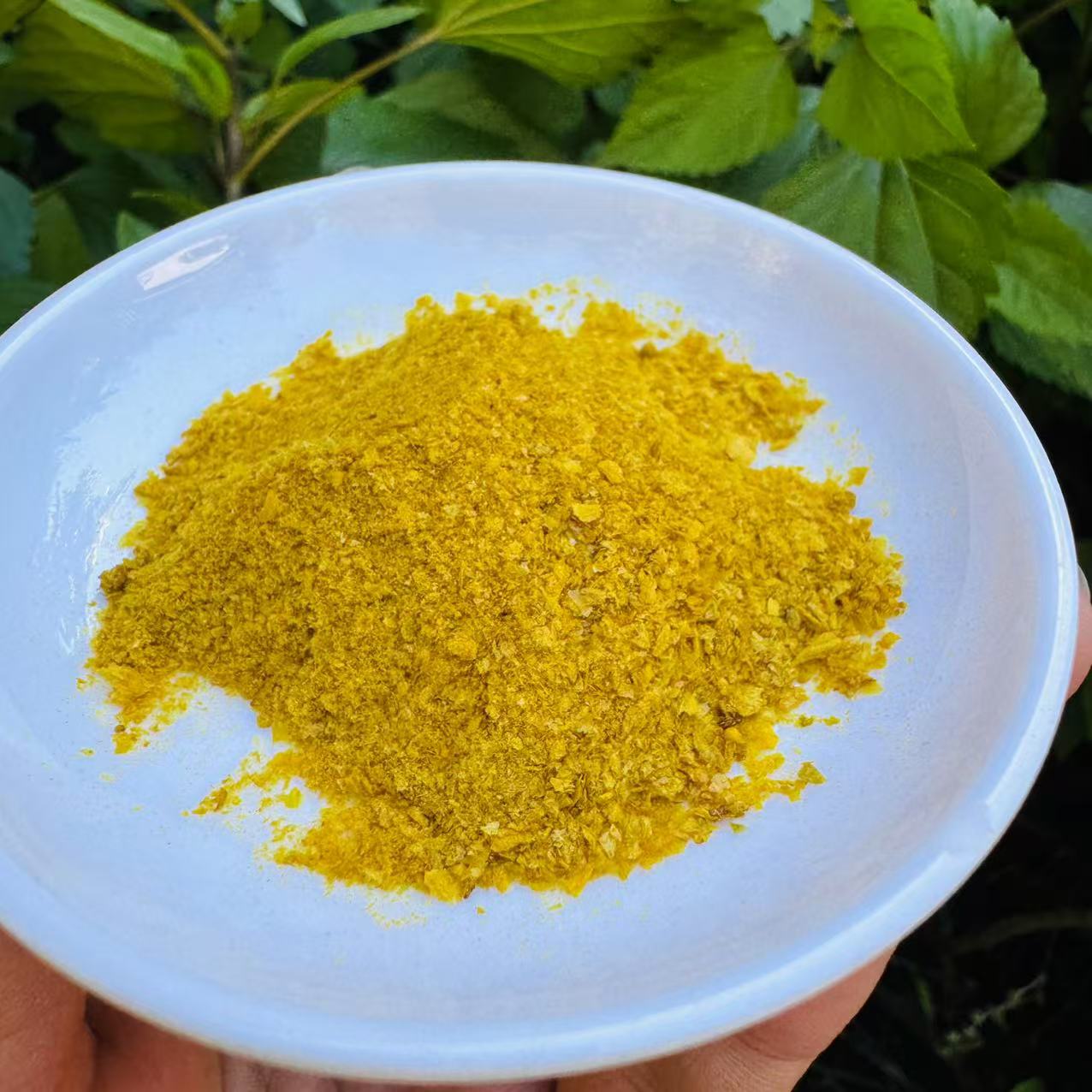 1【土特产-X-D】净含量：1g-50g【阿忠现收现卖】菌