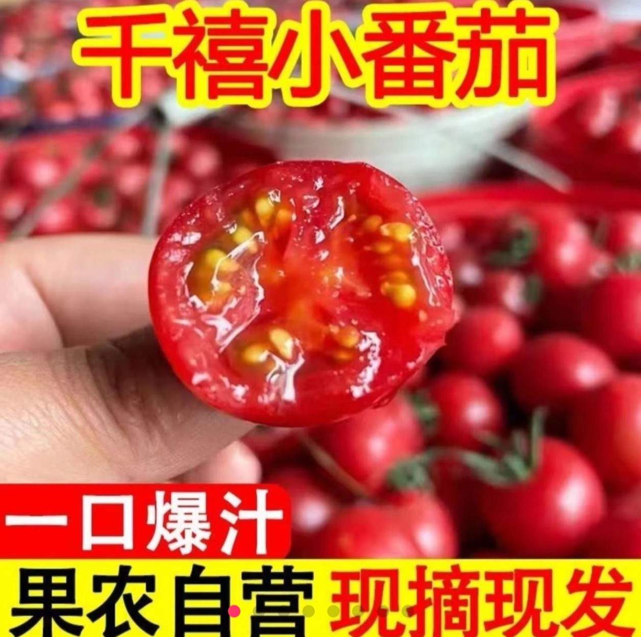 山东的千禧圣女果新鲜应季水果现摘脆甜多汁皮薄酸甜爆汁