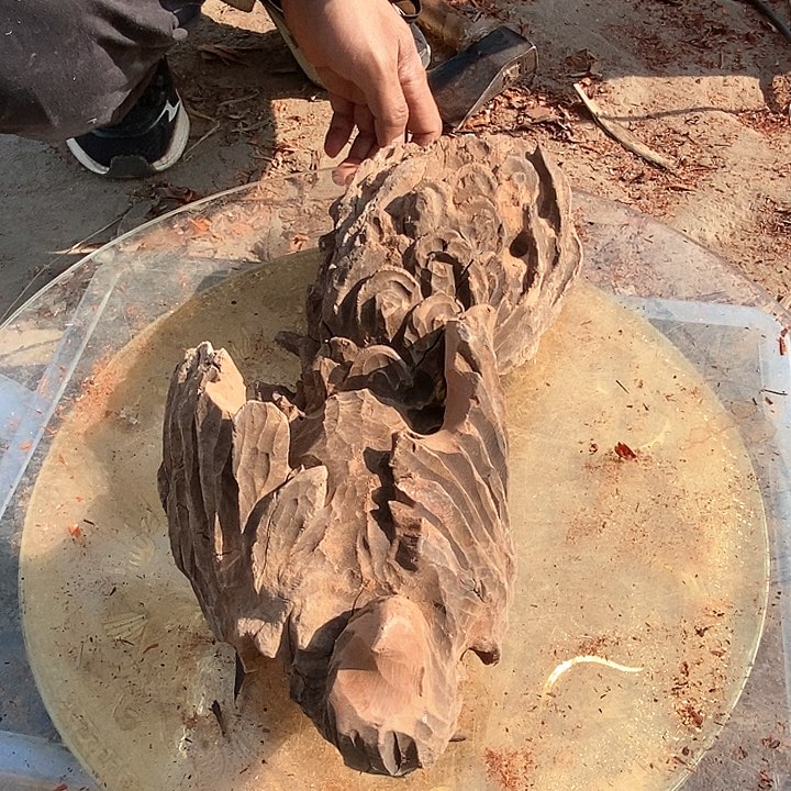 木885 毛料毛料毛料毛料