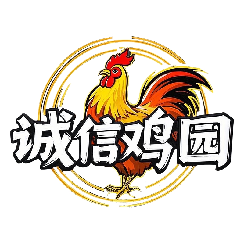 婆罗门鸡 活体宠物鸡 温顺 巨型庭院观赏鸡