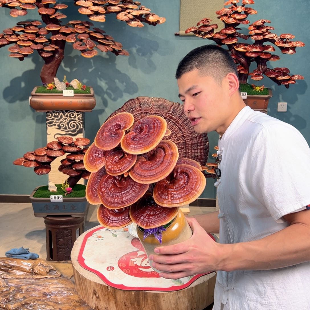 无花朵8866886868686