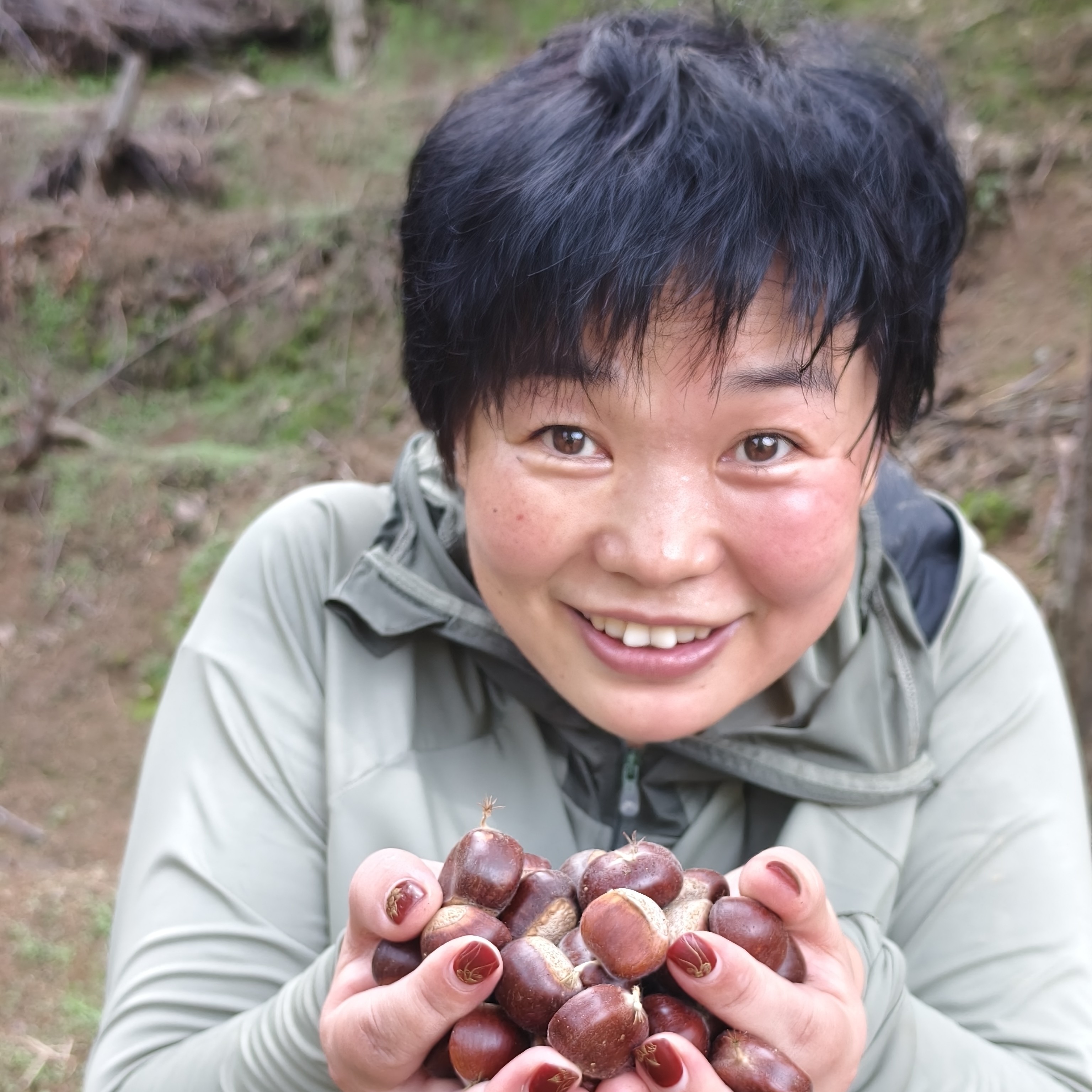 艳姐自家燕山板栗