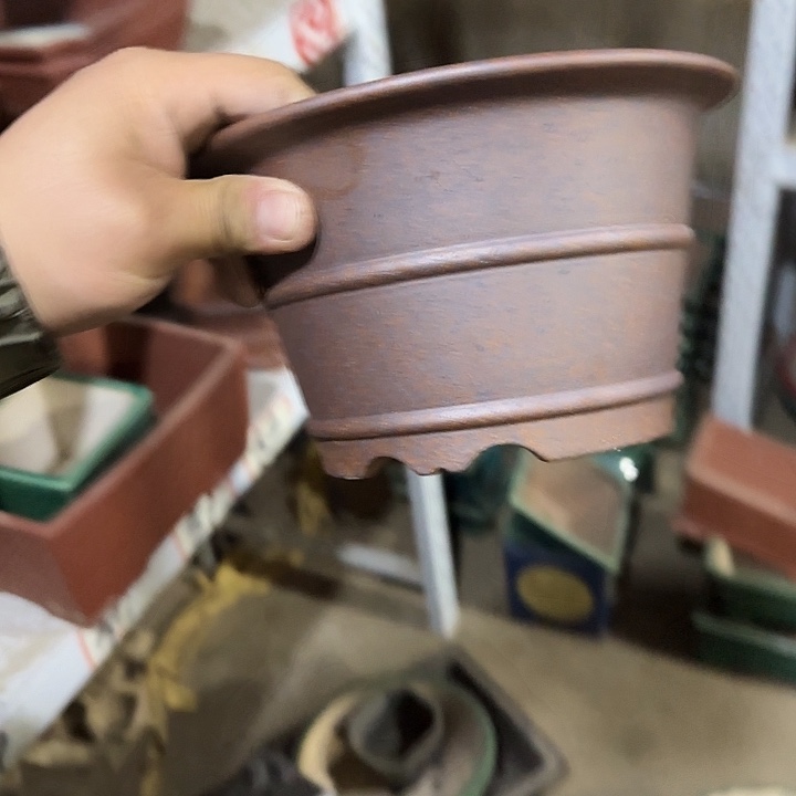 一天只喝一点奶茶一次药就是这么回锅炖啊哈吃