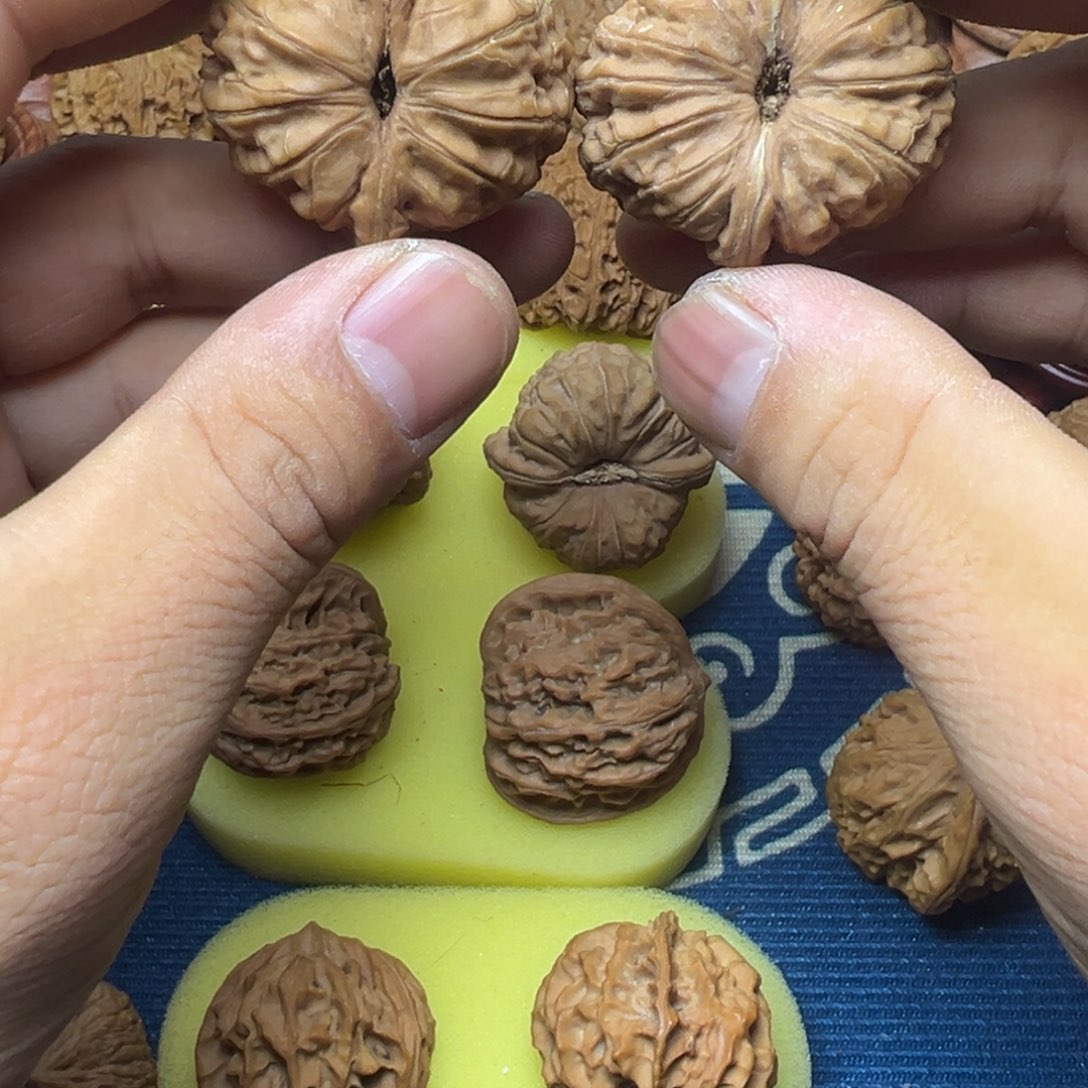 s***o木质元宝元宝元宝