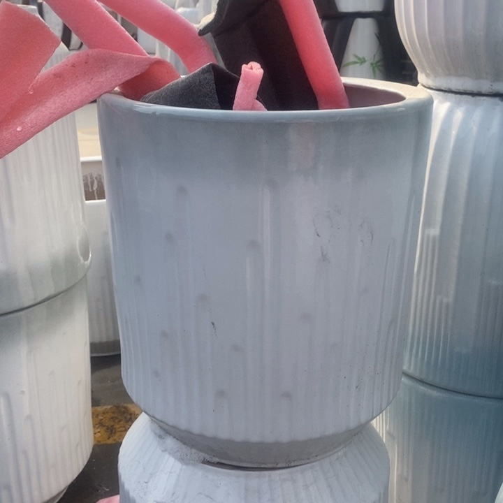 低腰渐变绿音符大号口33/36