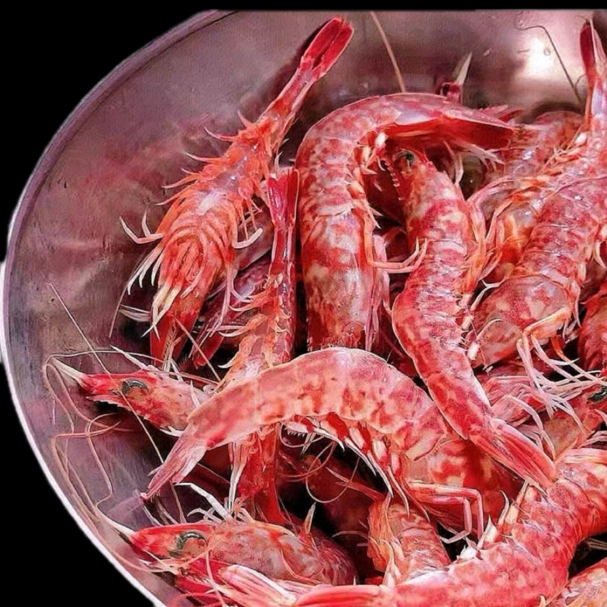 【樱花虾】惠来靖海地笼船南海优质樱花虾/狗虾【5盒】鲜汁水甜脆生腌