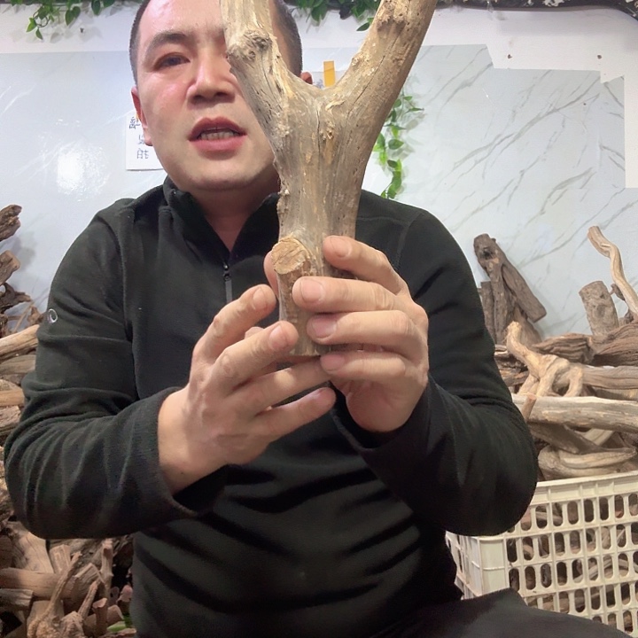 崖柏弓叉原叉木料