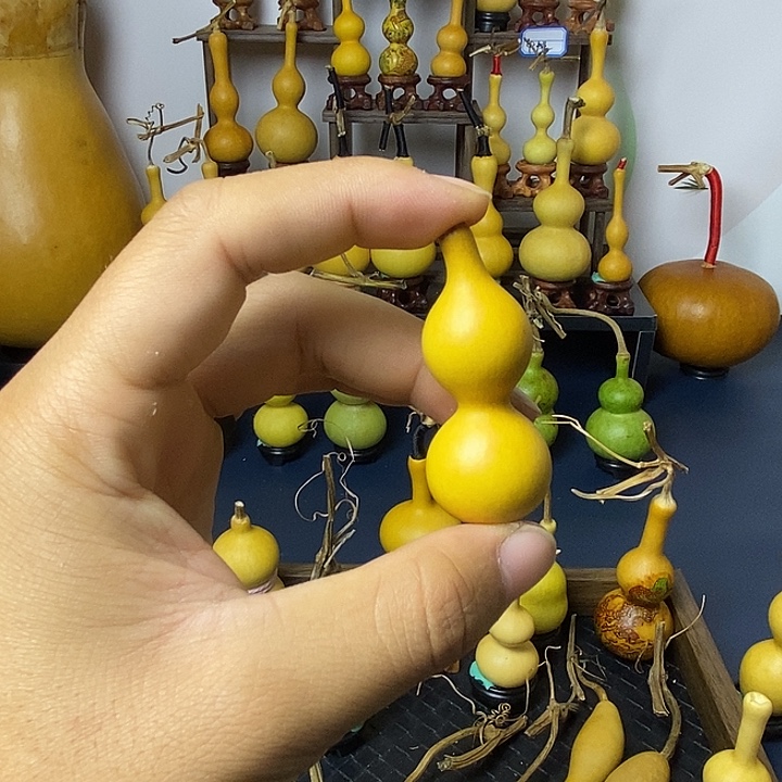 龙***精品葫芦 一物一价