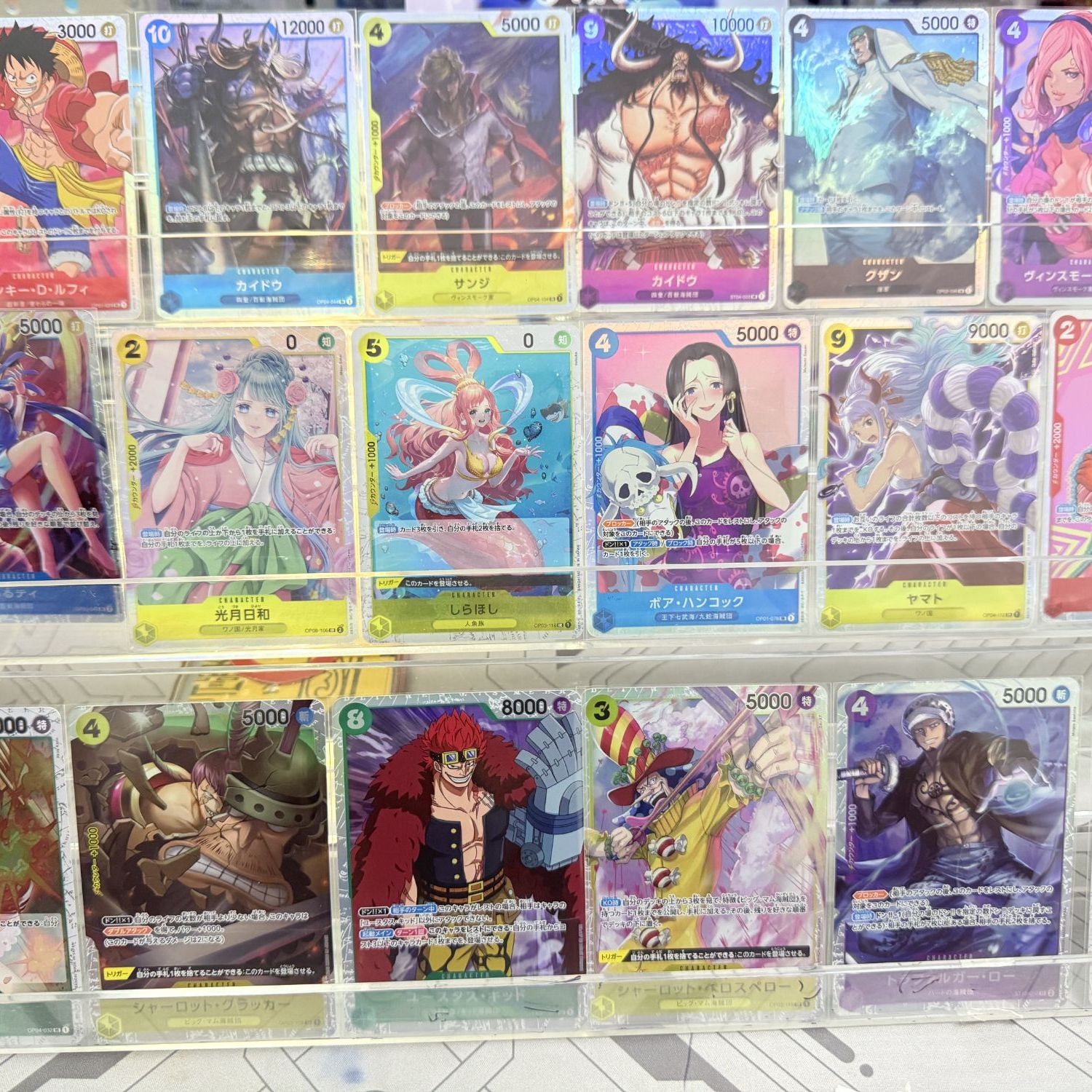 顺顺卡牌专拍链接