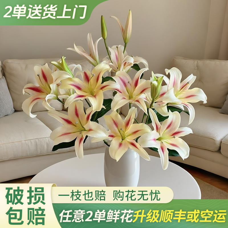 【柔柔甄选】小仙女香水百合 任意两单花材升级顺丰或德邦快递