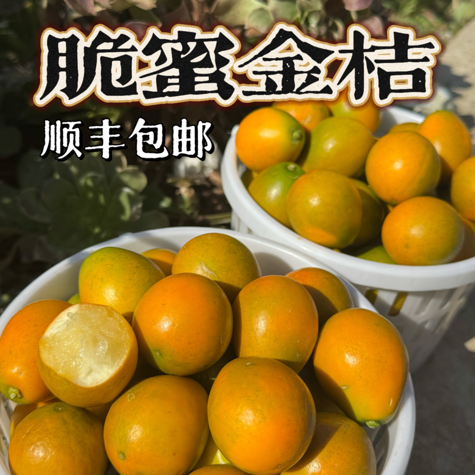 【建康啊】四川大凉山脆蜜金桔脆甜爽口皮薄肉厚（顺丰包邮）