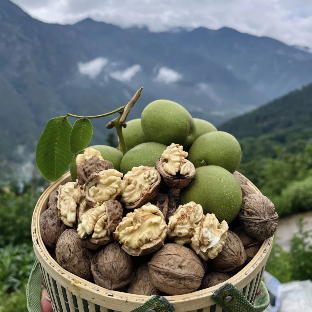 【全国空运】四川大凉山核桃 去青皮鲜核桃高山老树核桃孕妇小孩水果老树脆嫩清甜