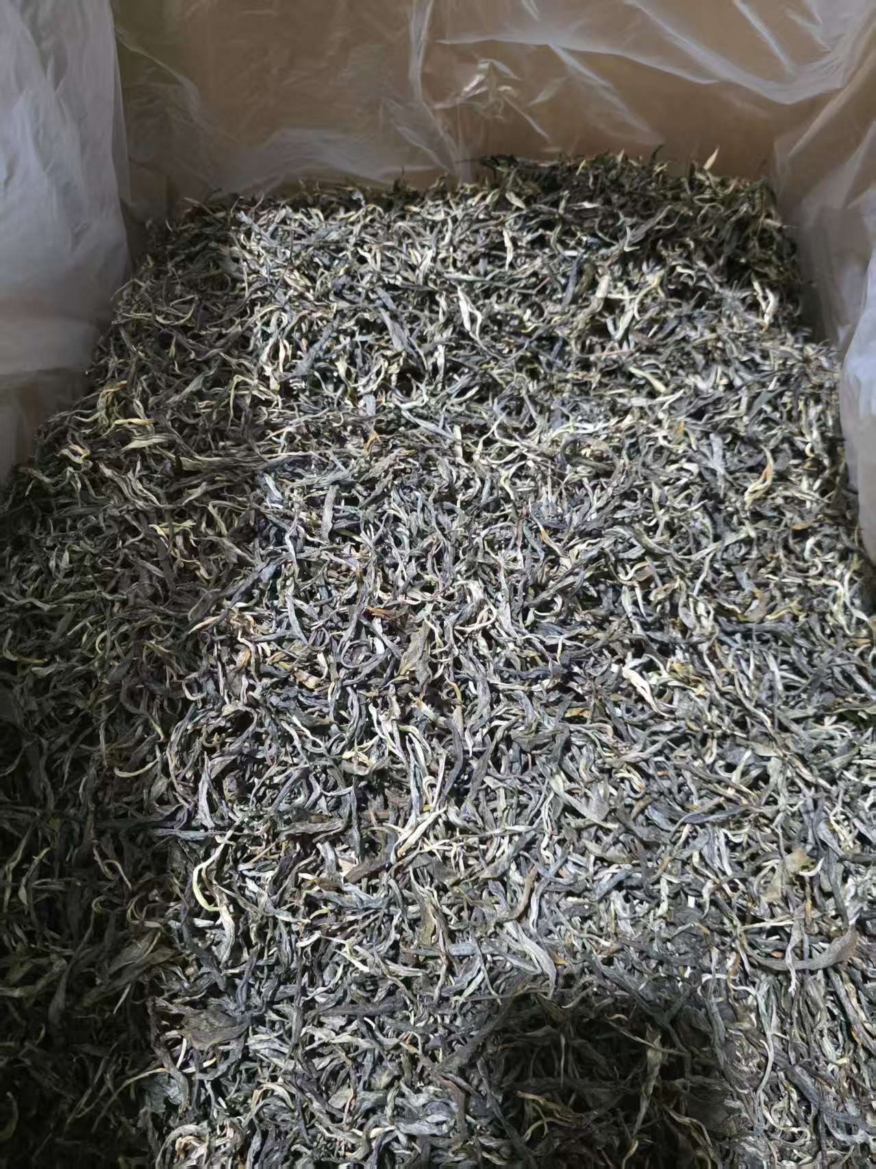 2025年老曼娥明前大树头春普洱茶生茶散茶
