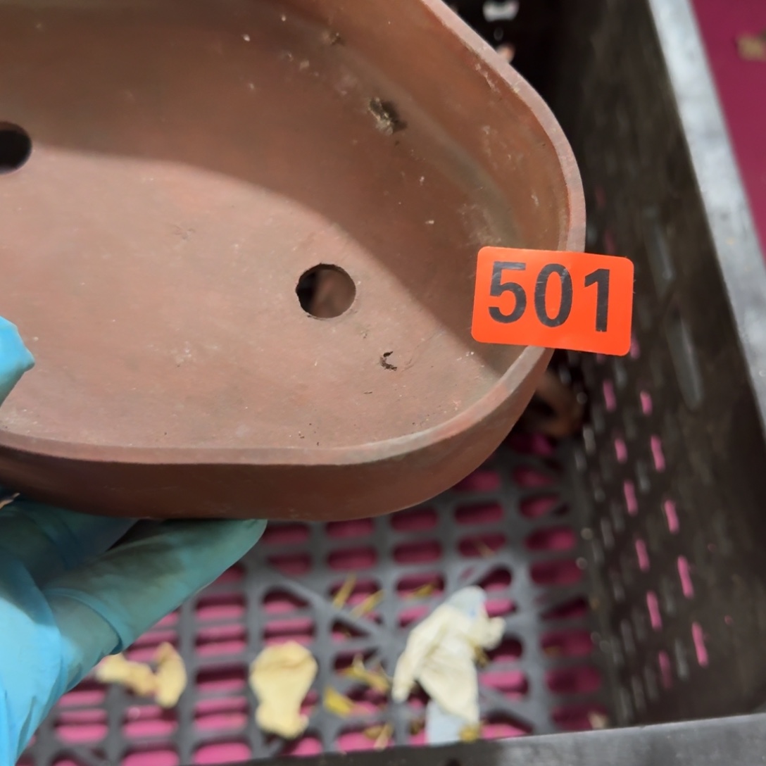 h***z杂色豆（科檀/科特迪瓦檀木）