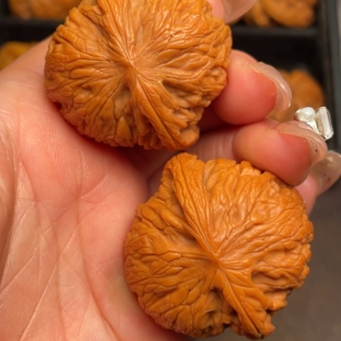 文玩核桃吊坠秦岭野生核桃