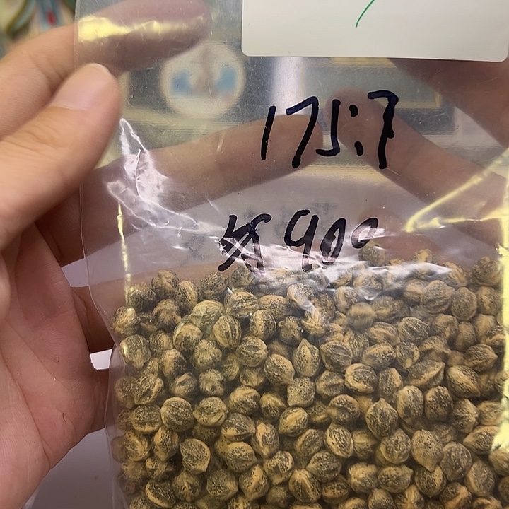 柳***风柏香籽/百香籽吊坠