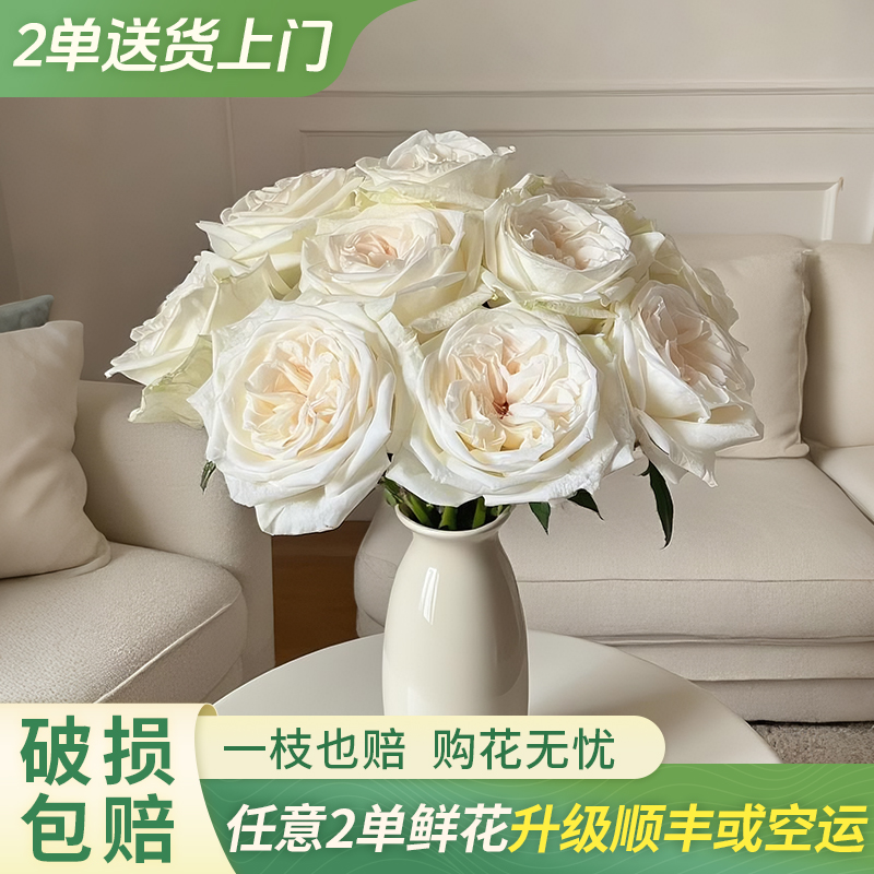 【大聪明卖花】白荔枝单头玫瑰 任意两单花材升级顺丰京东或德邦