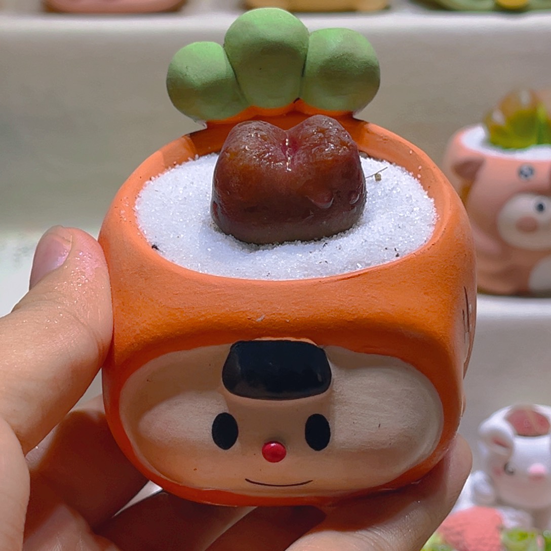 009高端多肉带盆带土