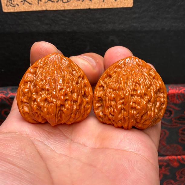 蛇王一抹红品种就如同皮色，39✖️38✖️38，回血非白茬一物一图