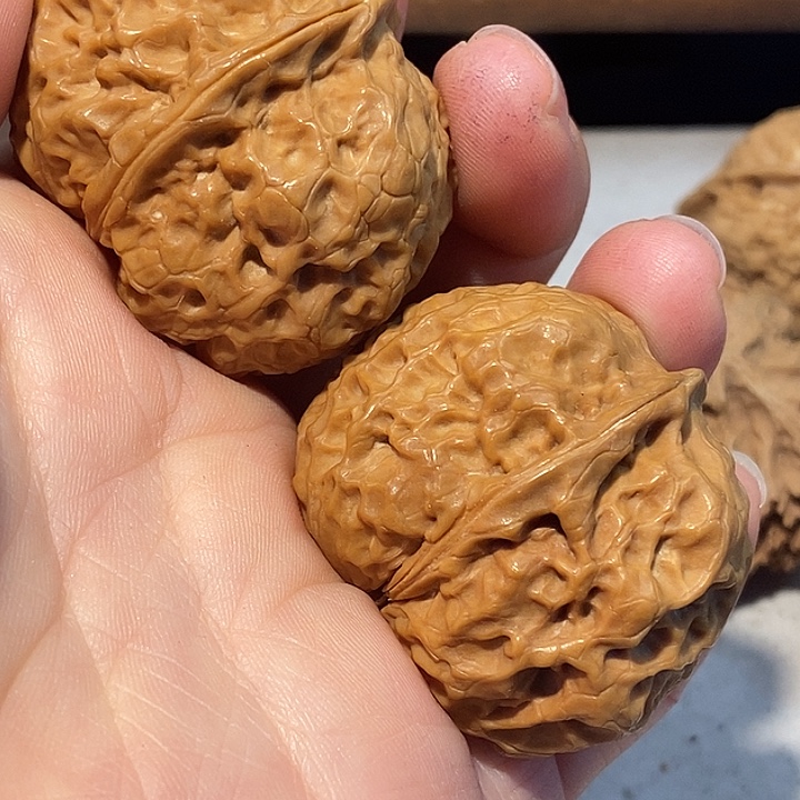 文玩核桃把件77777777788