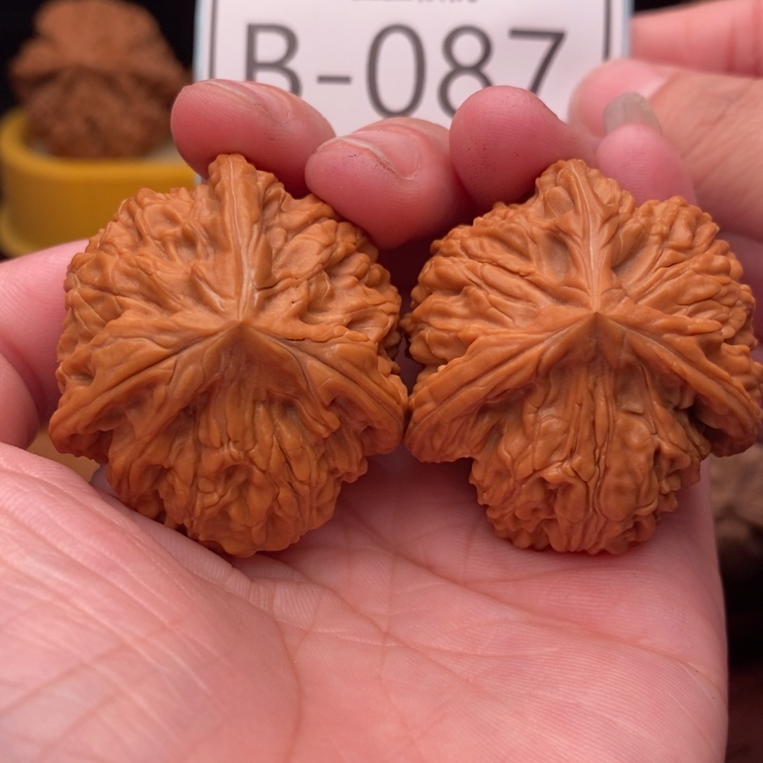 文玩核桃把件我****爱玉龙40