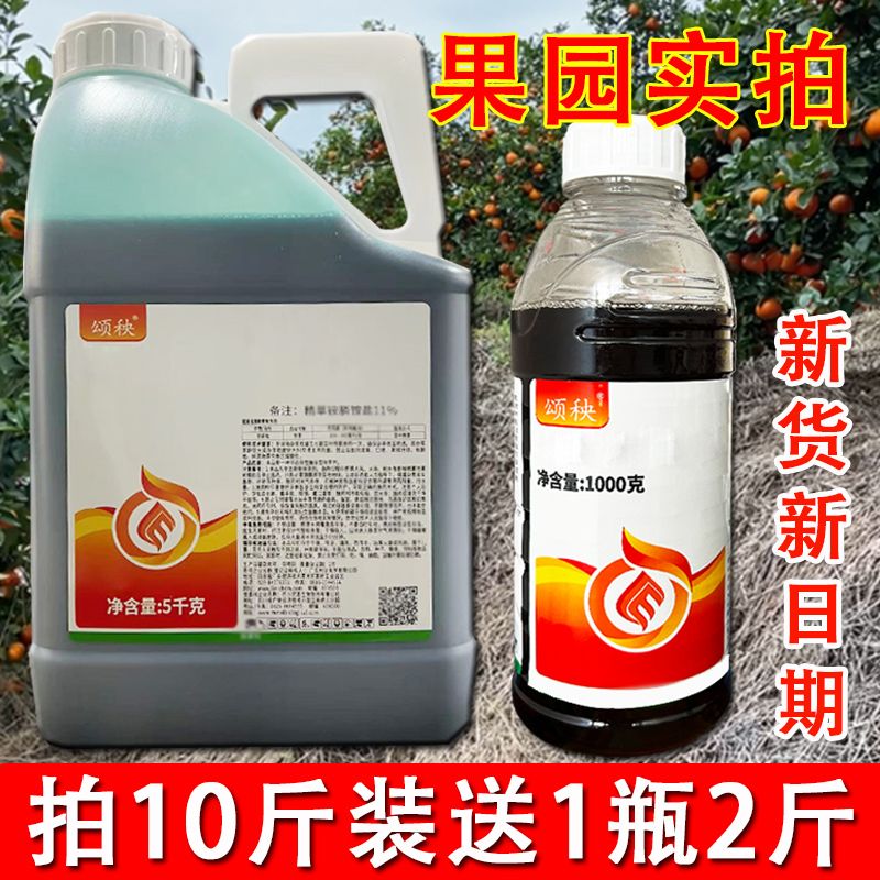 【拍10斤装送2斤】25年新货果园茶园专用水花生小飞蓬