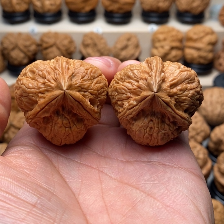 替***光文玩核桃把件……………………………………