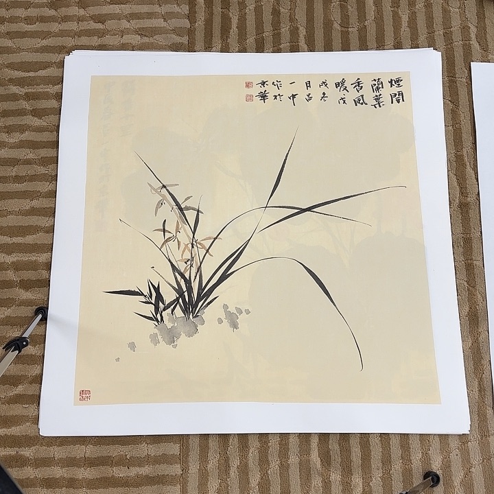 国画花鸟等多种鸟类和动物70.70