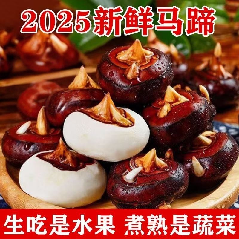 【拍3斤送2斤到手5斤】新鲜现挖带泥马蹄果荸荠脆甜多汁农家自种